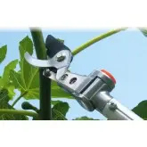 Foarfeca profesionala pentru taiat cu cap orientabil, cu brat lung telescopic 180 - 300 cm