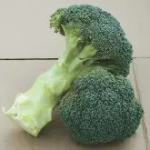 Seminte broccoli Green Magic F1
