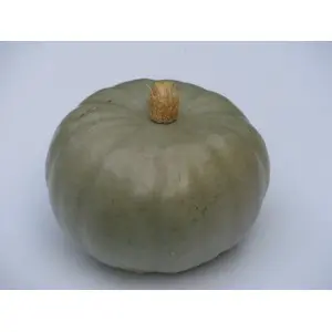 Seminte dovleac Crown Prince F1