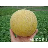 Seminte pepene galben Aikido F1