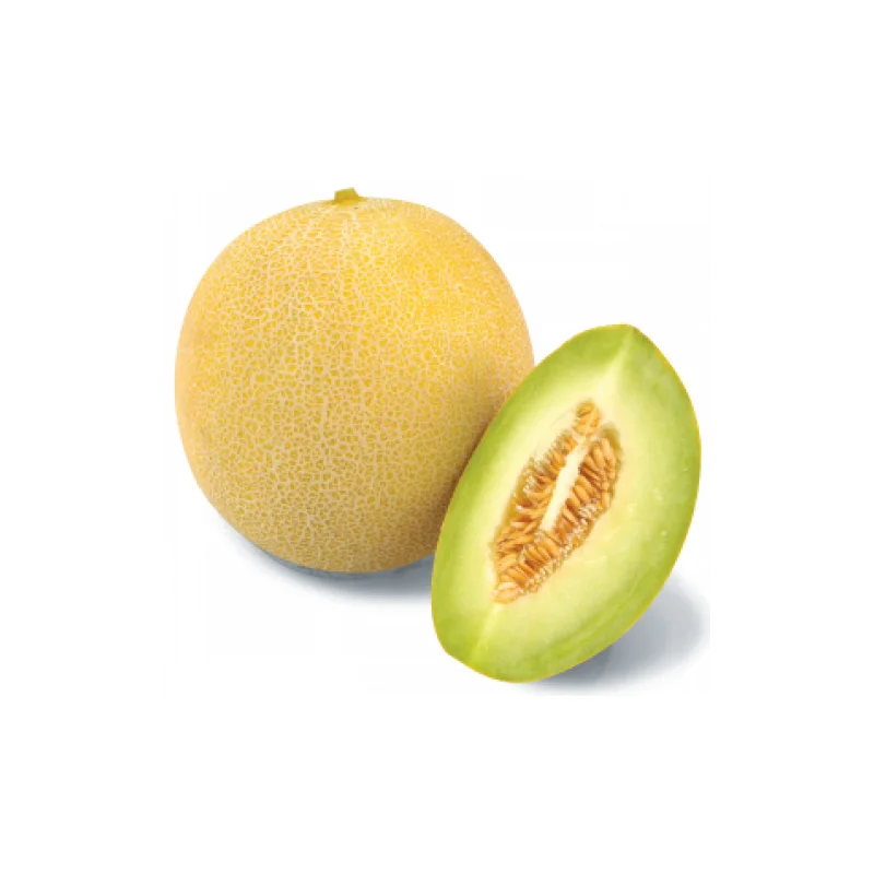Seminte pepene galben Tenor F1