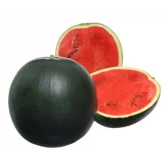 Seminte pepene verde Fire Ball F1
