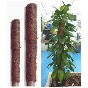 Ghiveci productie rasaduri, Arca Palo 135