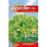 Seminte salata Salad Bowl Alta Selezione Qualita