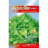 Seminte salata Regina Delle Ghiacciole Alta Selezione Qualita