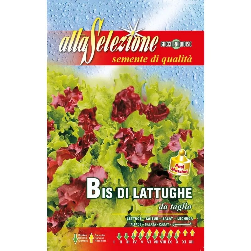 Seminte salata de funze amestec de taiat Alta Selezione Qualita