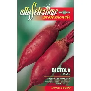 Seminte sfecla rosie Cylindra Alta Selezione Qualita