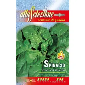 Seminte spanac Gigante D'Inverno Alta Selezione Qualita