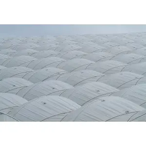 Folie solar Politiv PolySmart E1517 difuza, 150 microni