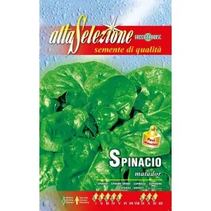 Seminte spanac Matador Alta Selezione Qualita