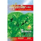 Seminte spanac Matador Alta Selezione Qualita