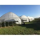 Folie solar Politiv PolySmart E1517 difuza, 150 microni