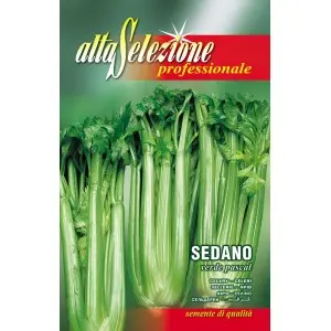 Seminte telina de petiol Verde Pascal Alta Selezione Qualita