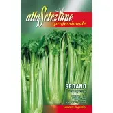 Seminte telina de petiol Verde Pascal Alta Selezione Qualita