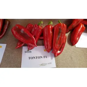 Seminte ardei capia Tonton F1