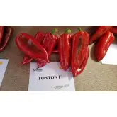 Seminte ardei capia Tonton F1