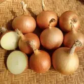 Seminte ceapa Franzisco