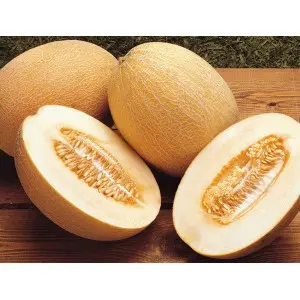 Seminte pepene galben Raymond F1