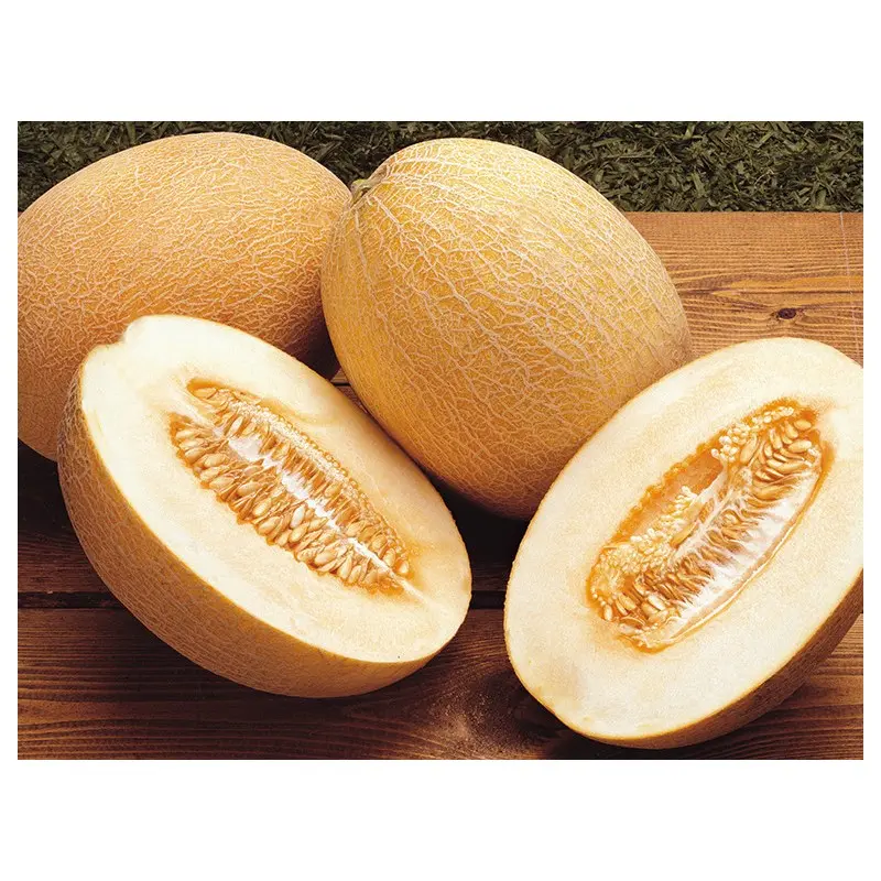 Seminte pepene galben Raymond F1
