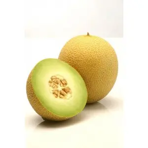 Seminte pepene galben Lavigal F1