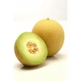 Seminte pepene galben Lavigal F1