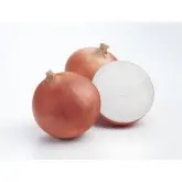 Seminte ceapa Oloroso F1