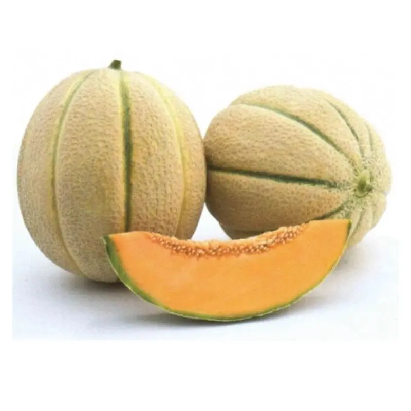 Seminte pepene galben Donatello F1