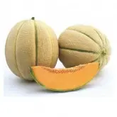 Seminte pepene galben Donatello F1