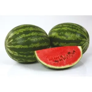 Seminte pepene verde Susy F1