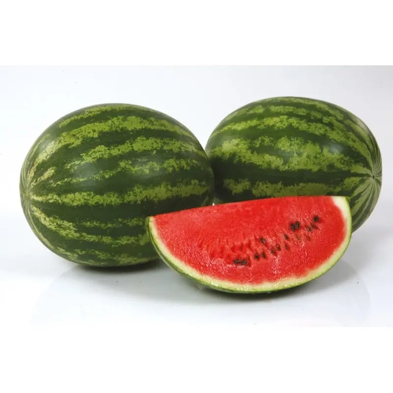 Seminte pepene verde Susy F1