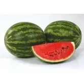 Seminte pepene verde Susy F1