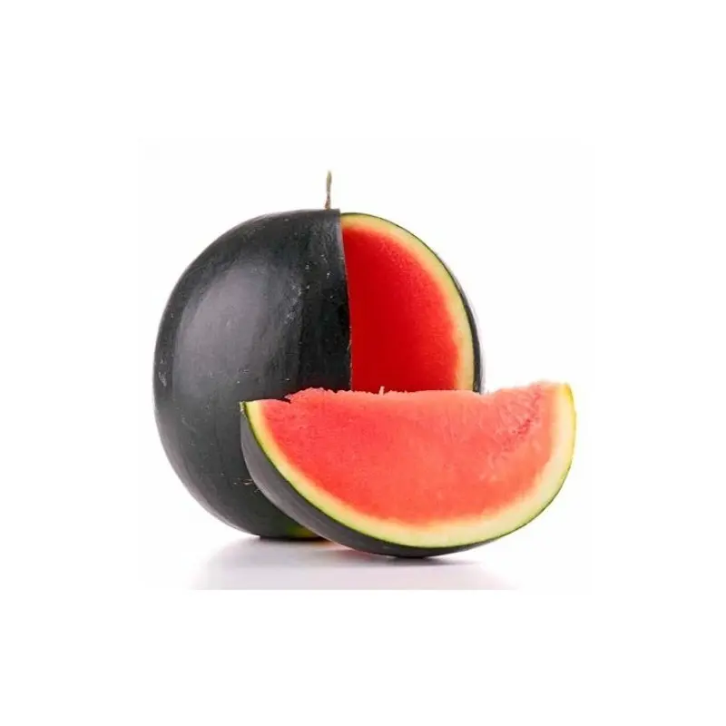 Seminte pepene verde Perla Negra F1