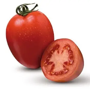 Seminte tomate Byelsa F1