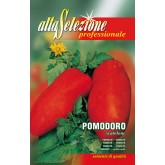 Seminte tomate Scatolone Alta Selezione Qualita
