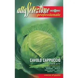 Seminte varza alba Golden Acre Alta Selezione Qualita