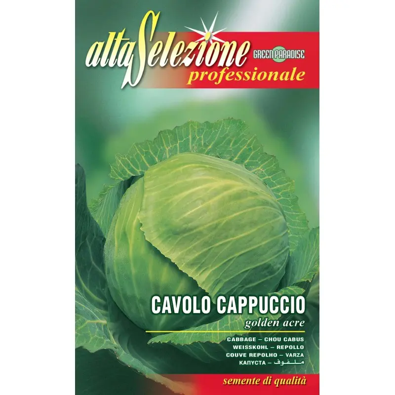 Seminte varza alba Golden Acre Alta Selezione Qualita