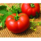 Seminte tomate Kiveli F1
