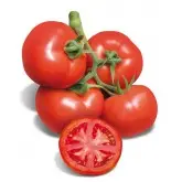 Seminte tomate Partova F1