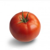 Seminte tomate Torero F1