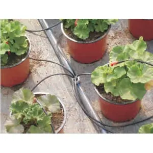 Kit Toro pentru ciuperca picurare