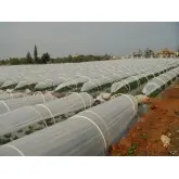 Arcade tunel din PVC