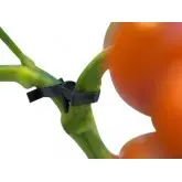 Carlig dublu negru sustinere plante tomate
