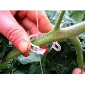 Clipsuri palisare tomate