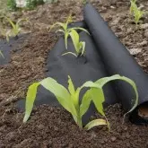 Folie microporoasa neagra pentru mulcire, Hortiagril 50 g/mp