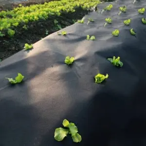 Folie microporoasa neagra pentru mulcire, Hortiagril 50 g/mp