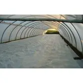 Plasa protectie Arricover, 36 g/mp