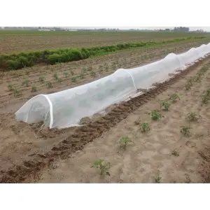 Plasa protectie Arricover, 36 g/mp