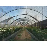 Plasa umbrire 2635NE AGRI LDF BLACK 40%