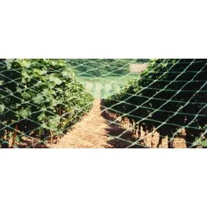 Plasa contra pasarilor 2125VE Biobirds, 16 g/mp, 25x25 mm