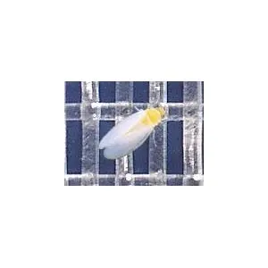 Plasa protectie contra insectelor 3350BT BIORETE 50 MESH